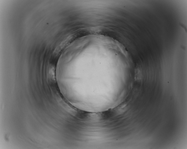 X0000103480238200809261934