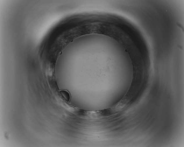 X0000103480239200809261934