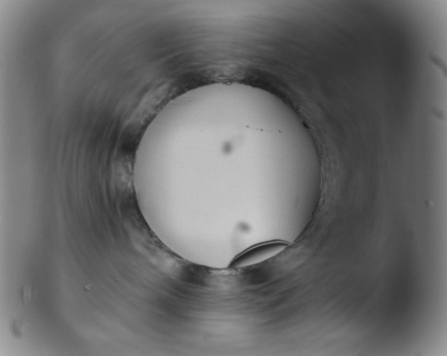 X0000103480240200809261934