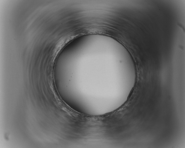 X0000103480241200809261934