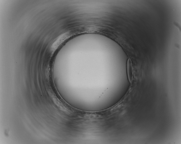 X0000103480242200809261934