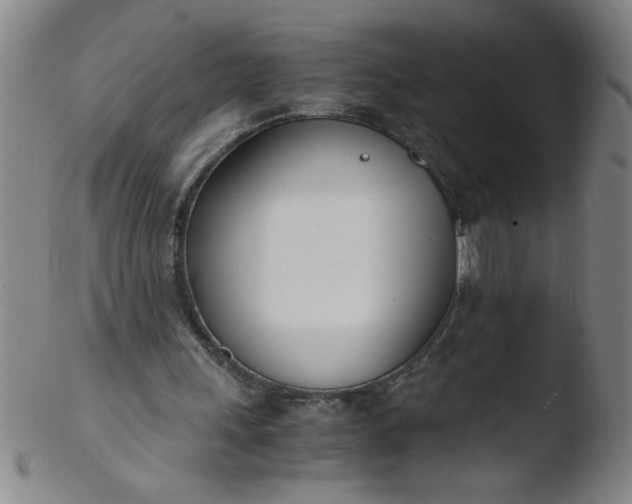 X0000103480243200809261934