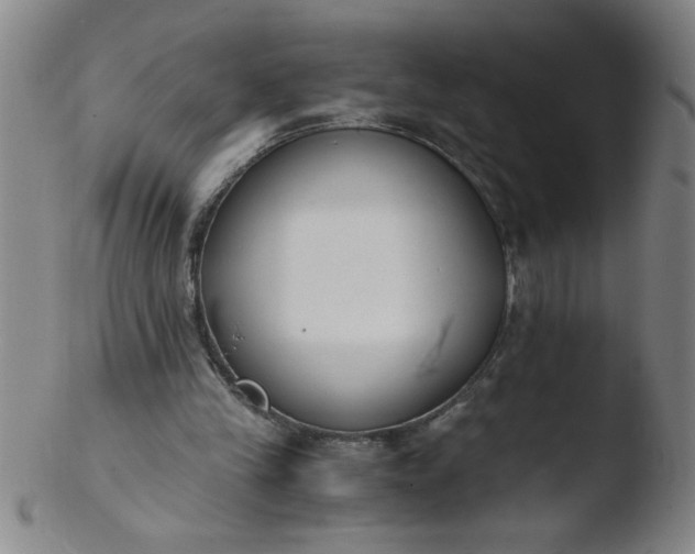 X0000103480245200809261934