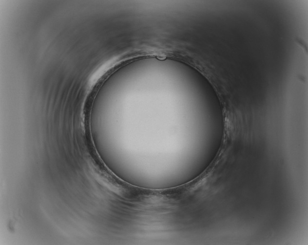 X0000103480246200809261934