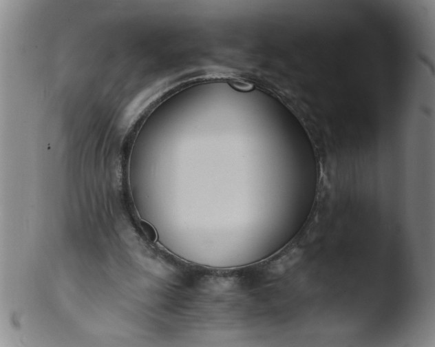 X0000103480247200809261934