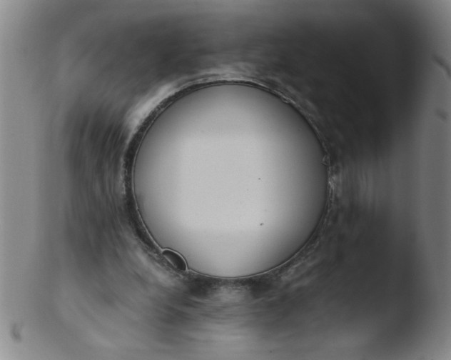 X0000103480248200809261934