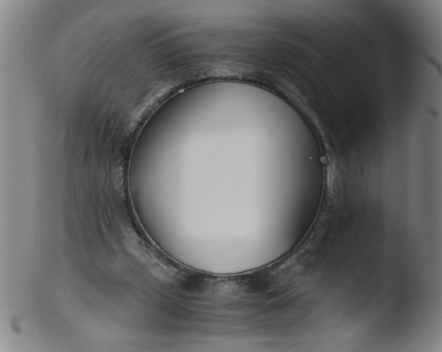 X0000103480249200809261934