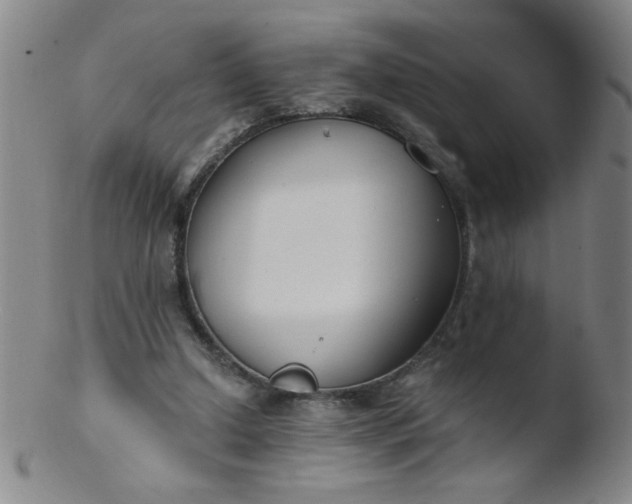 X0000103480250200809261934