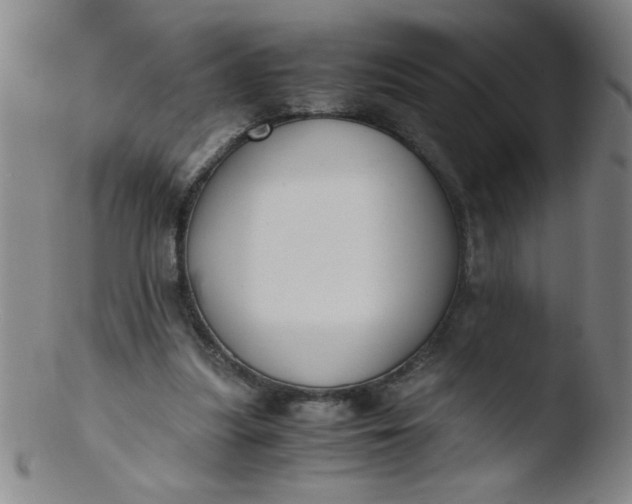 X0000103480251200809261934