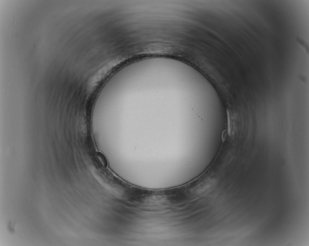 X0000103480252200809261934