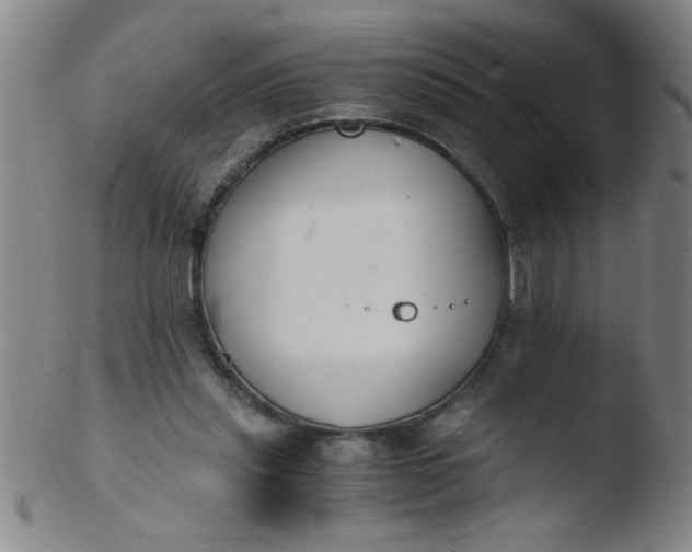 X0000103480253200809261934