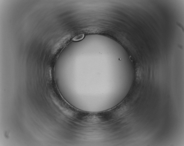 X0000103480254200809261934