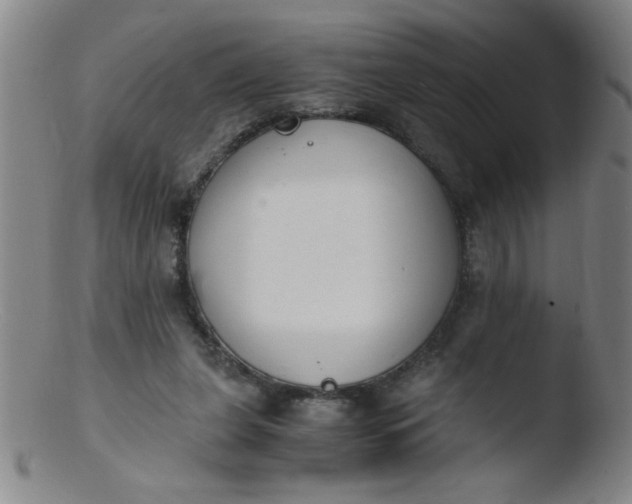 X0000103480255200809261934