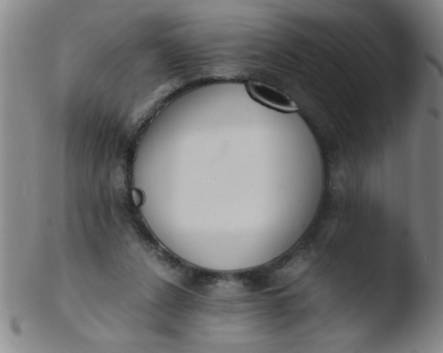 X0000103480256200809261934