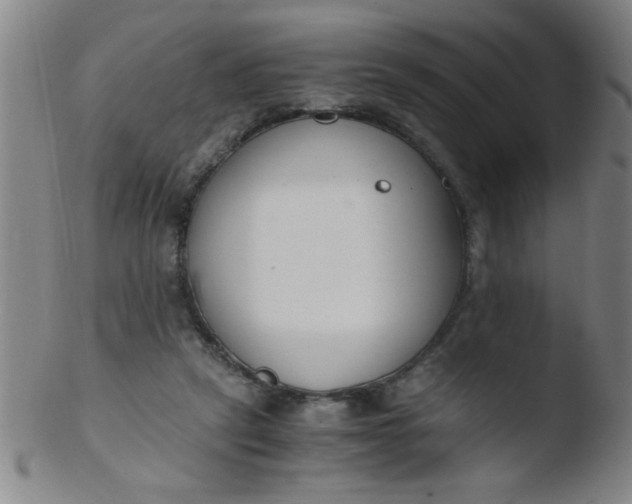 X0000103480257200809261934