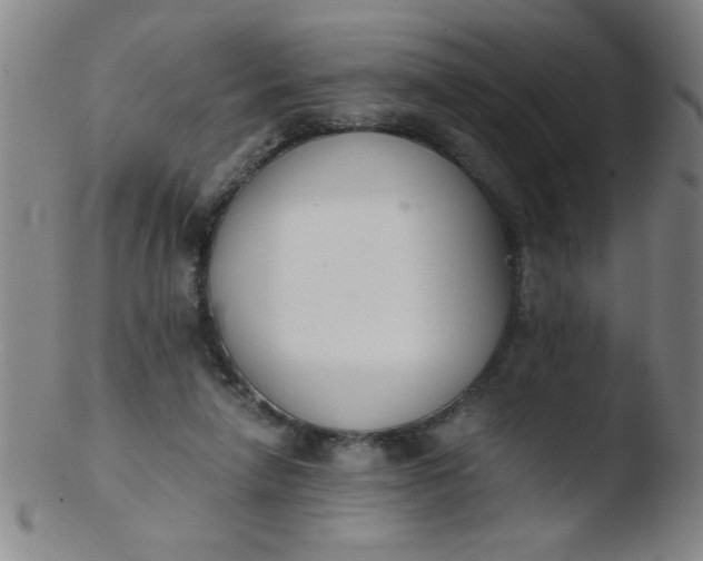 X0000103480258200809261934