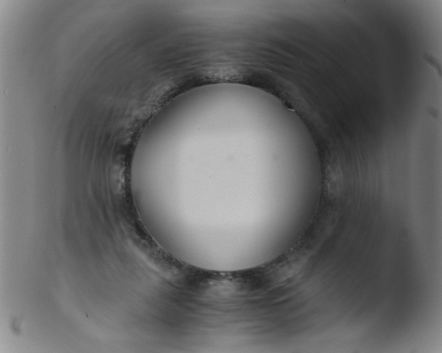 X0000103480259200809261934