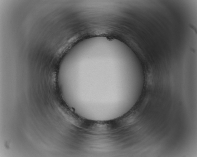 X0000103480260200809261934