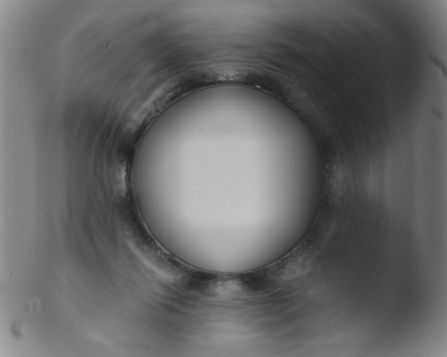 X0000103480262200809261934