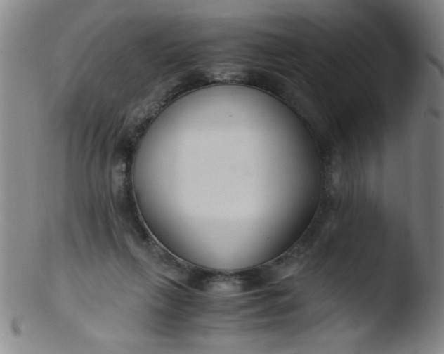 X0000103480263200809261934