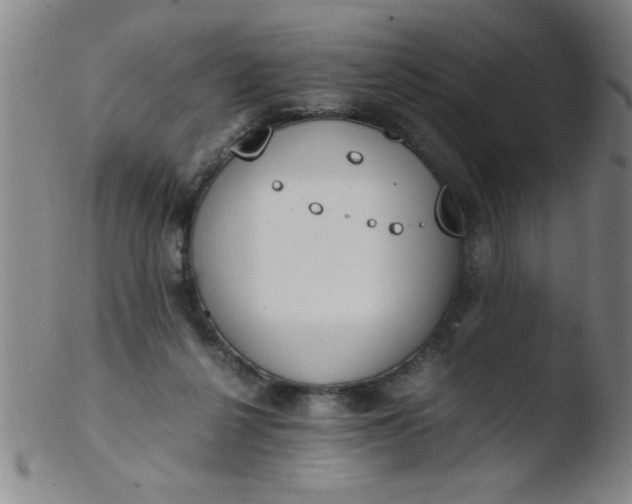 X0000103480264200809261934