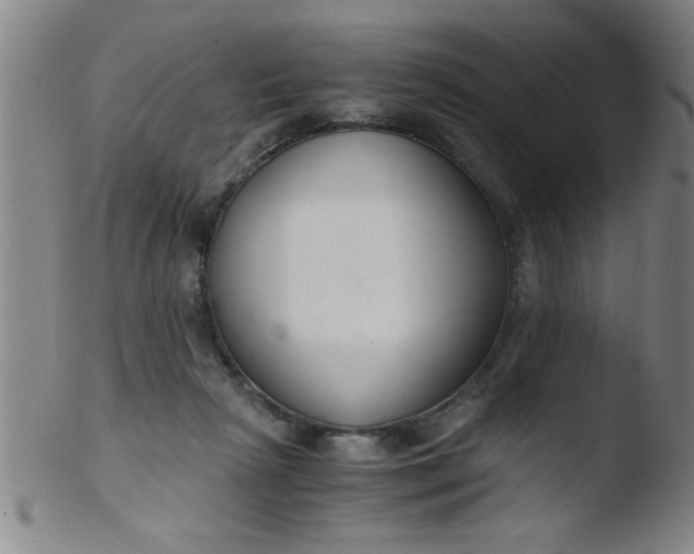 X0000103480265200809261934