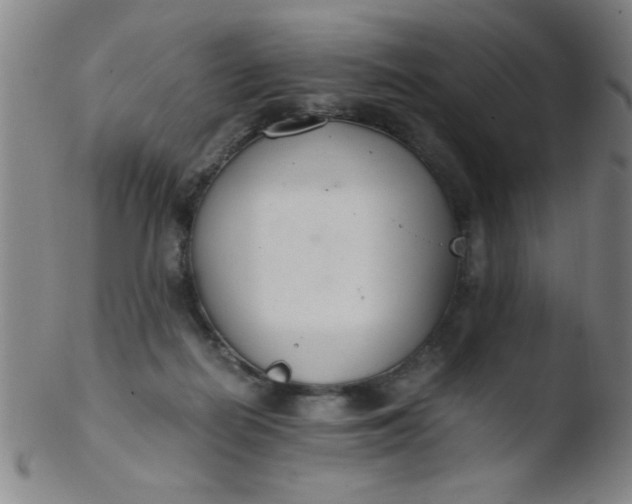 X0000103480266200809261934