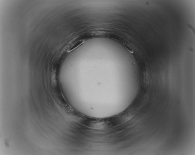 X0000103480267200809261934