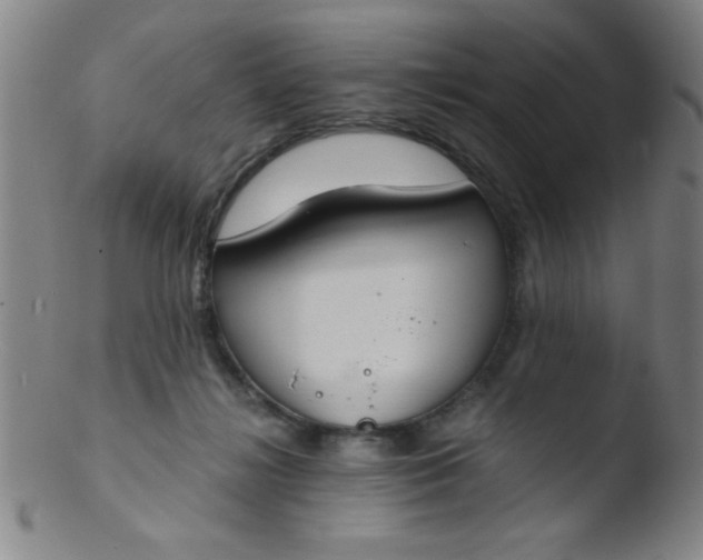 X0000103480268200809261934