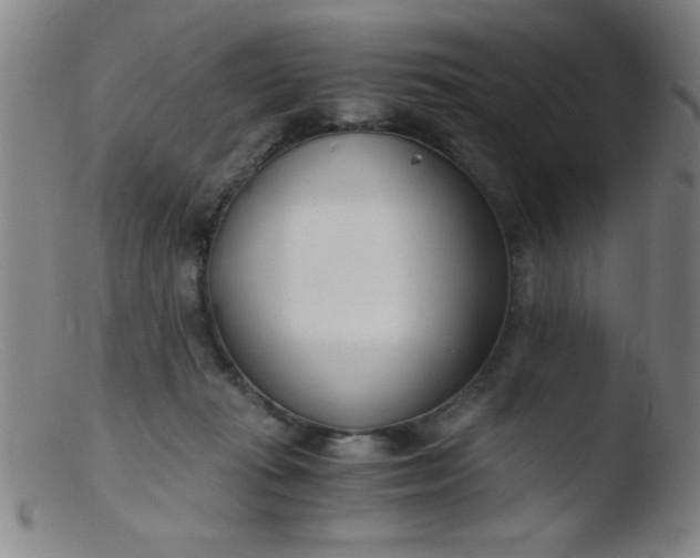 X0000103480269200809261934