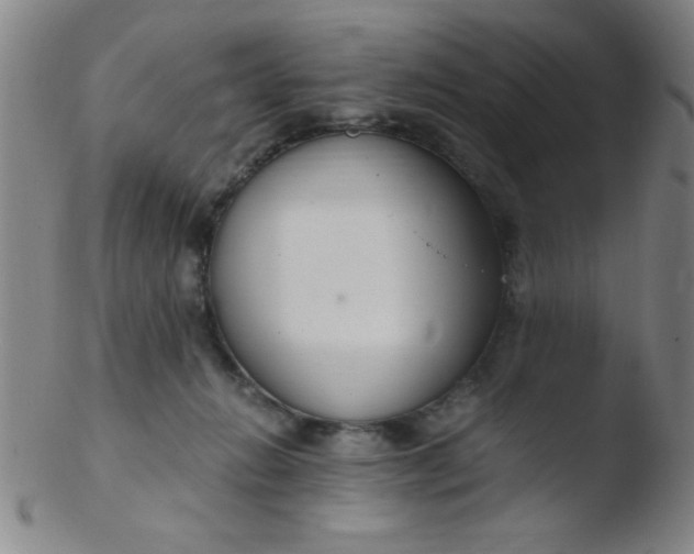 X0000103480270200809261934