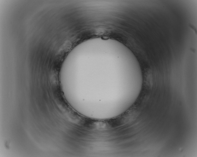 X0000103480272200809261934