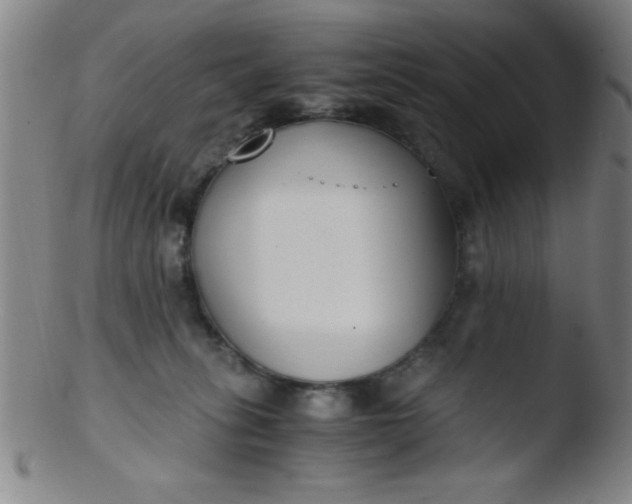 X0000103480275200809261934