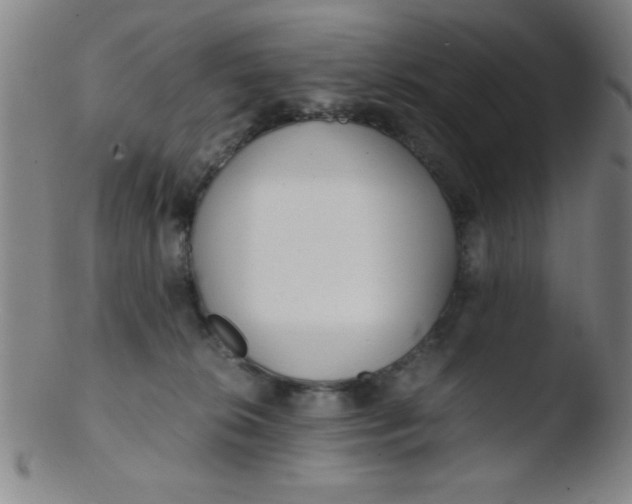 X0000103480276200809261934