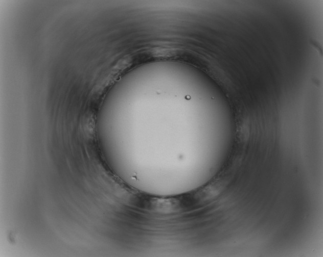 X0000103480277200809261934