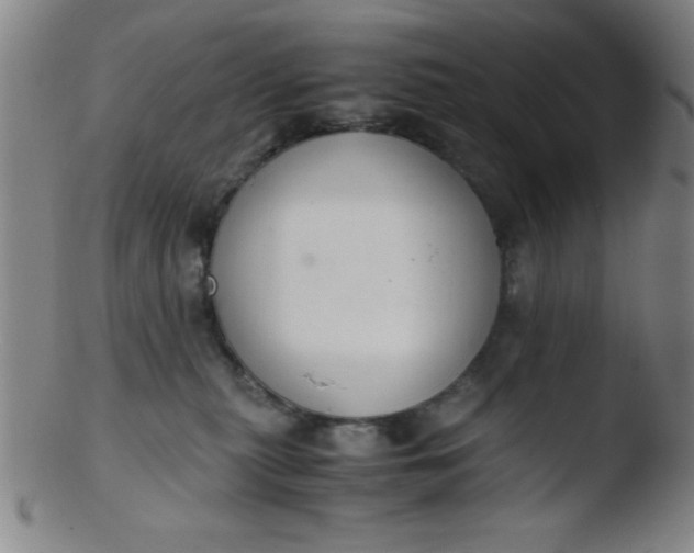 X0000103480279200809261934