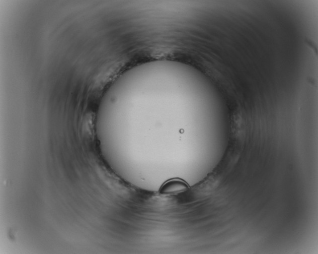 X0000103480280200809261934