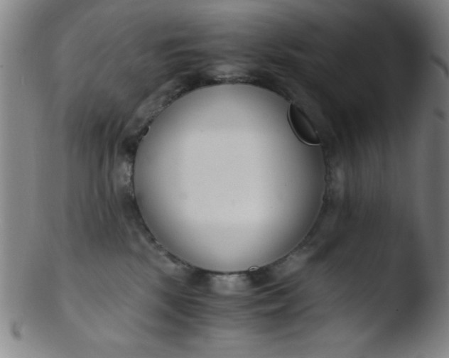 X0000103480281200809261934