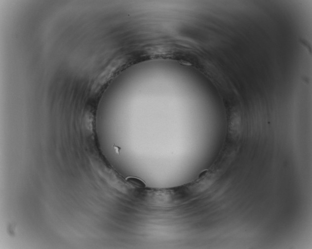 X0000103480282200809261934