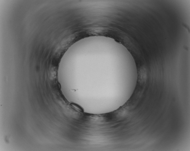 X0000103480284200809261934