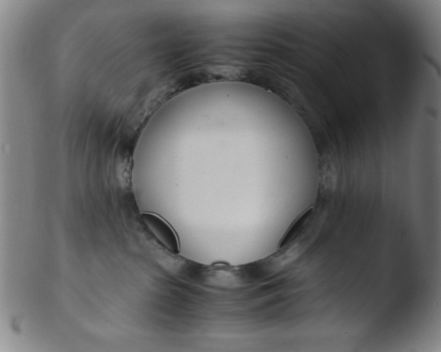 X0000103480285200809261934