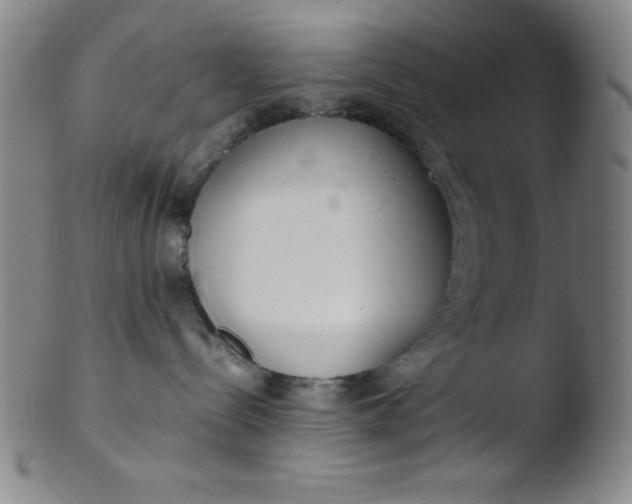 X0000103480288200809261934