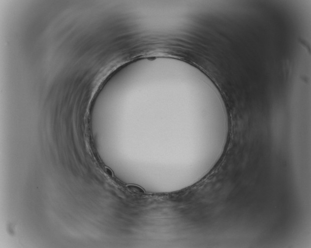 X0000103480289200809261934