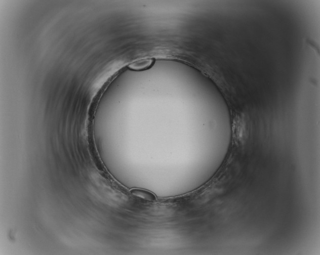 X0000103480292200809261934