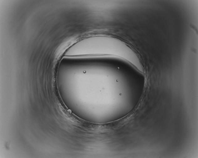 X0000103480293200809261934