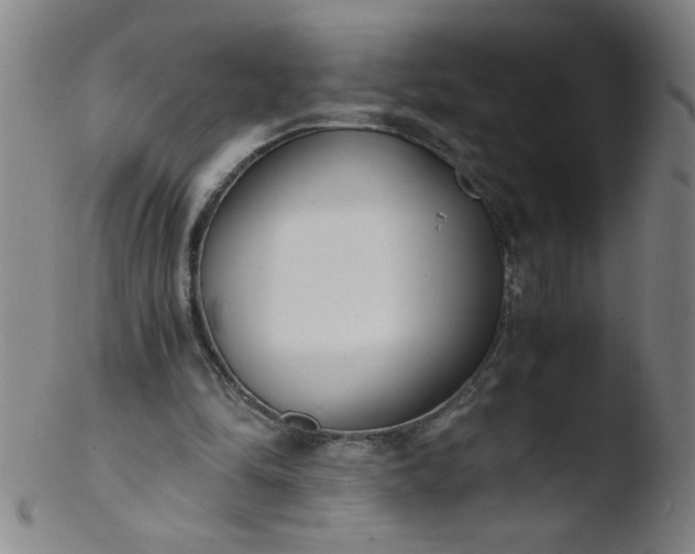 X0000103480294200809261934