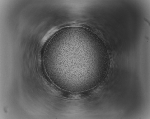 X0000103480295200809261934