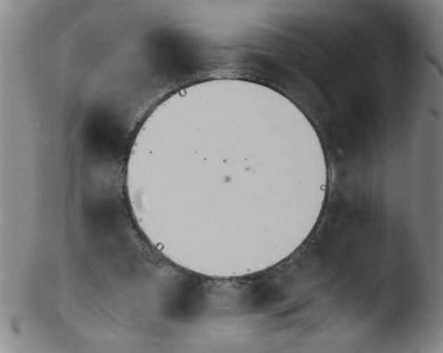 X0000103480297200809261934