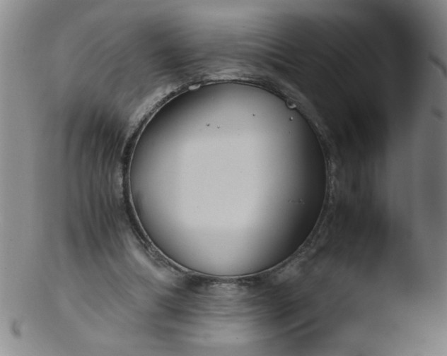 X0000103480298200809261933