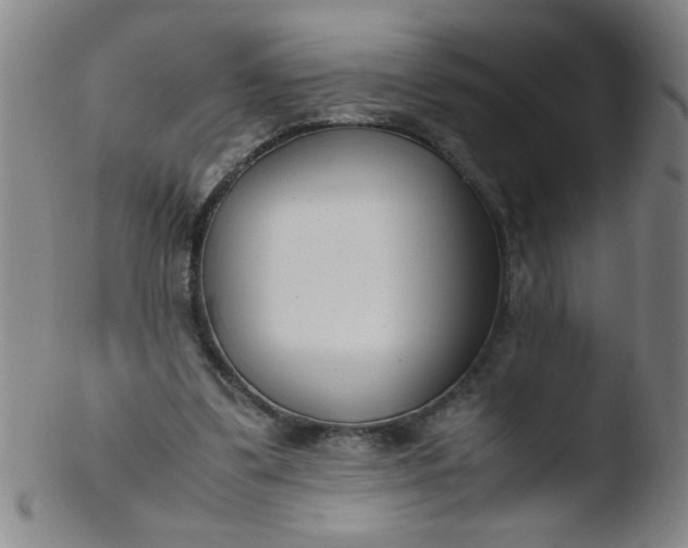 X0000103480299200809261933